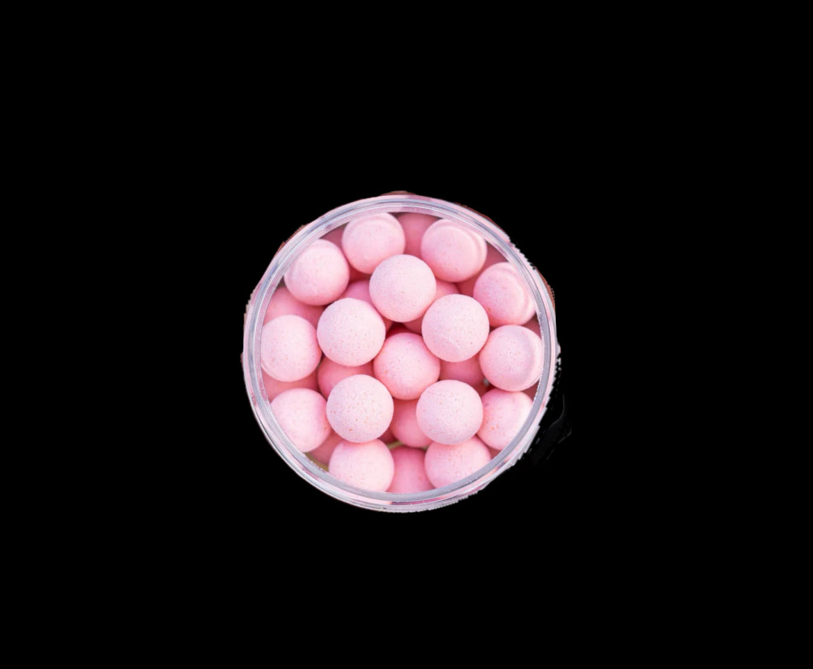 Maggot Scopex Popups